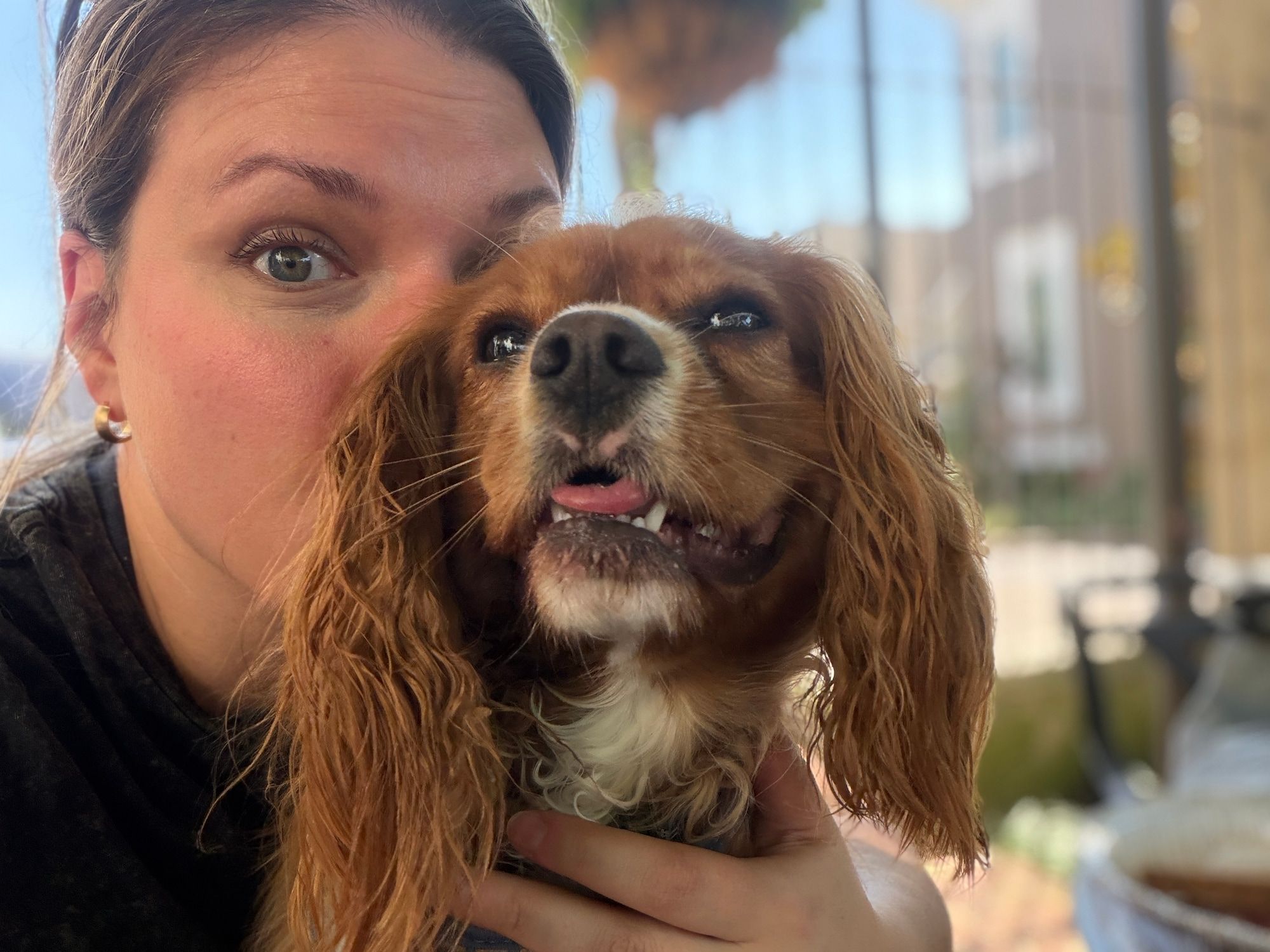 Leah holding a brown dog